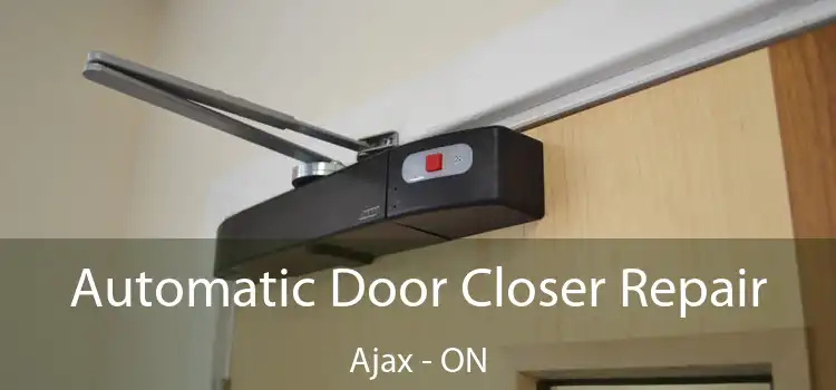  Automatic Door Closer Repair Ajax - ON