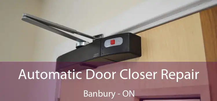  Automatic Door Closer Repair Banbury - ON