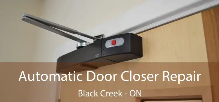  Automatic Door Closer Repair Black Creek - ON