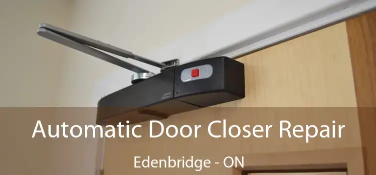 Automatic Door Closer Repair Edenbridge - ON