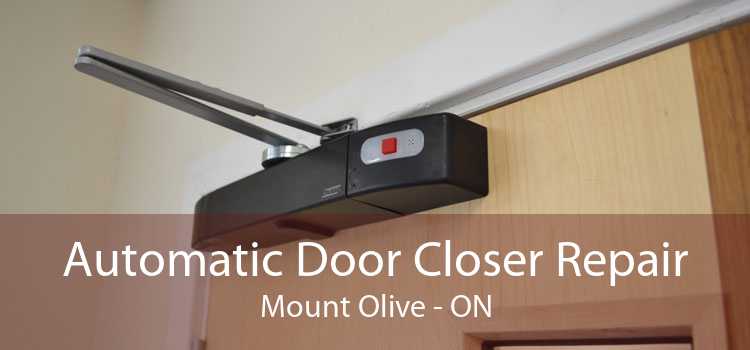 Automatic Door Closer Repair Mount Olive - ON