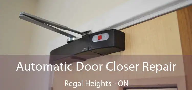  Automatic Door Closer Repair Regal Heights - ON