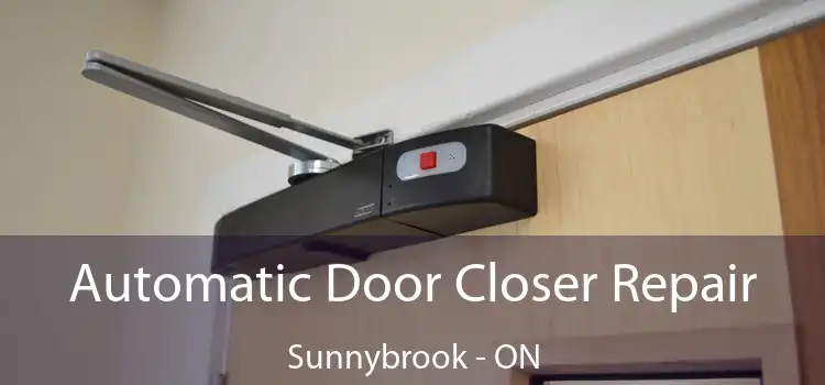  Automatic Door Closer Repair Sunnybrook - ON