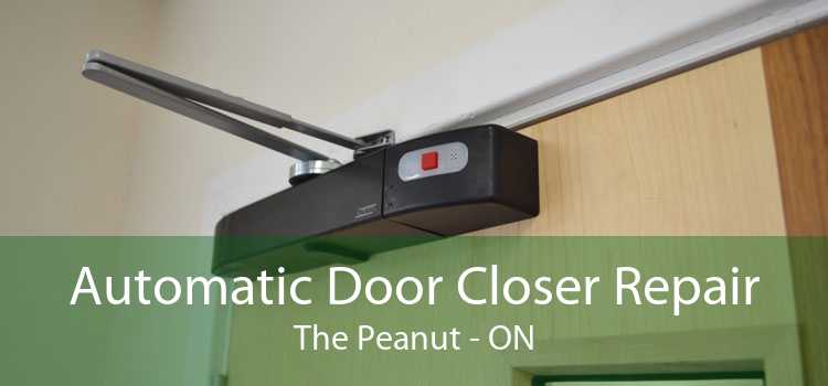 Automatic Door Closer Repair The Peanut - ON