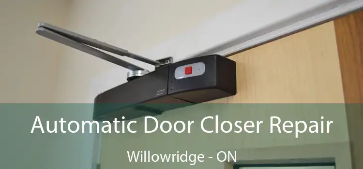  Automatic Door Closer Repair Willowridge - ON