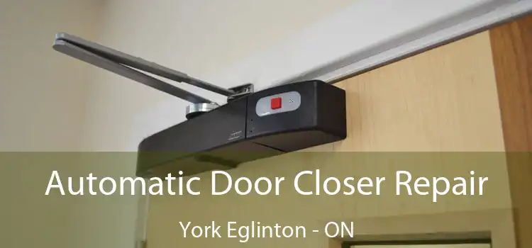  Automatic Door Closer Repair York Eglinton - ON