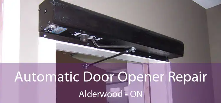  Automatic Door Opener Repair Alderwood - ON