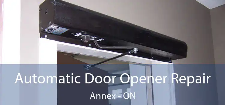  Automatic Door Opener Repair Annex - ON