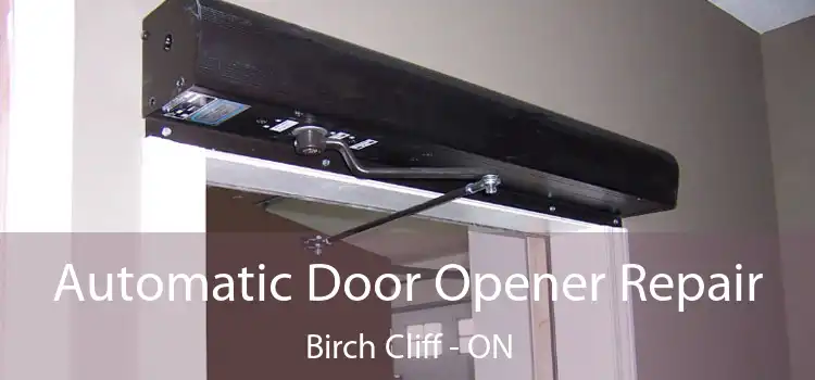  Automatic Door Opener Repair Birch Cliff - ON
