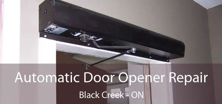 Automatic Door Opener Repair Black Creek - ON