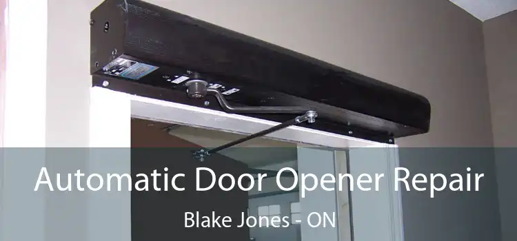  Automatic Door Opener Repair Blake Jones - ON