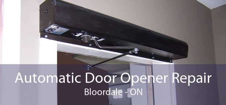 Automatic Door Opener Repair Bloordale - ON