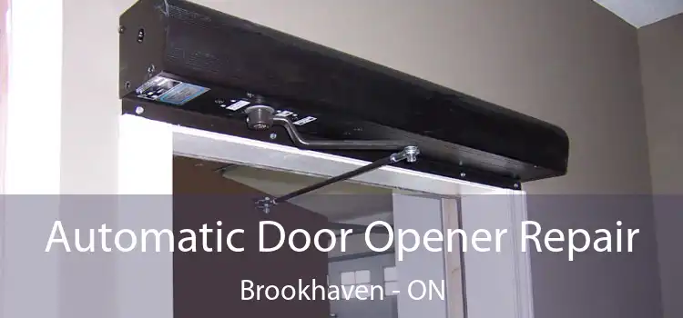 Automatic Door Opener Repair Brookhaven - ON