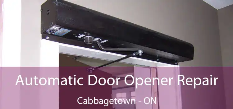  Automatic Door Opener Repair Cabbagetown - ON