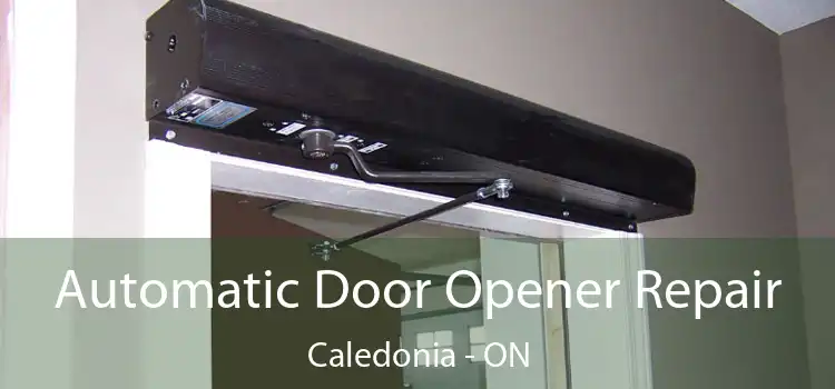  Automatic Door Opener Repair Caledonia - ON