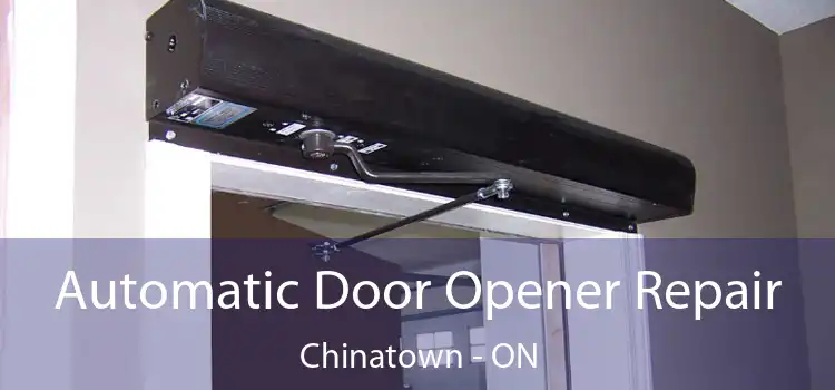  Automatic Door Opener Repair Chinatown - ON