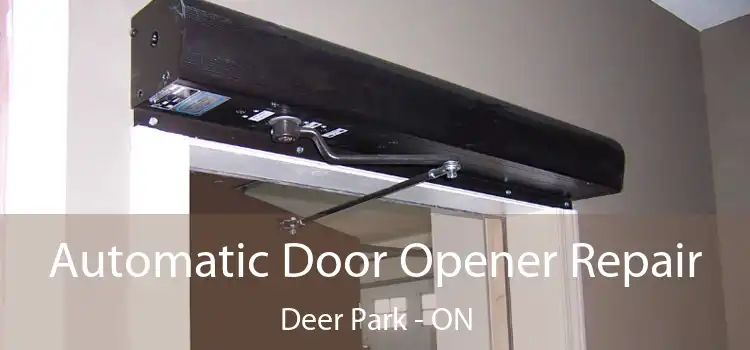  Automatic Door Opener Repair Deer Park - ON