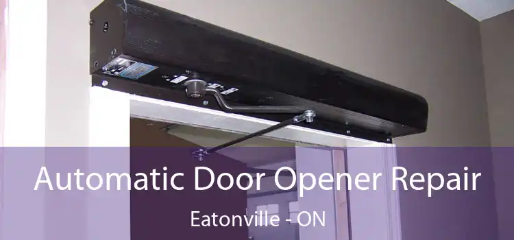  Automatic Door Opener Repair Eatonville - ON