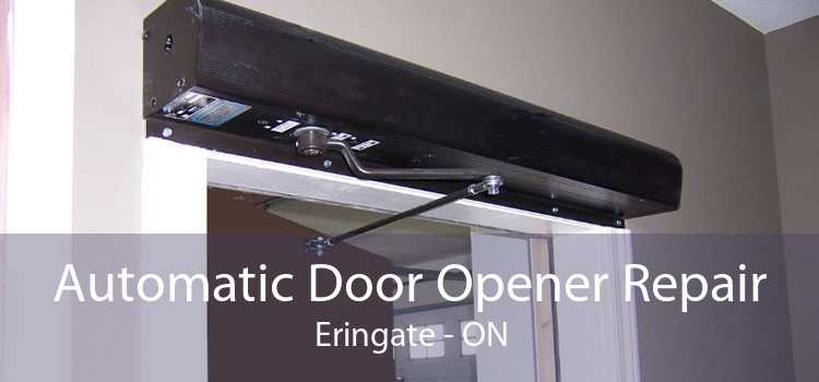 Automatic Door Opener Repair Eringate - ON