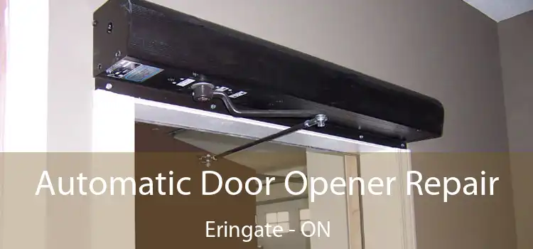  Automatic Door Opener Repair Eringate - ON