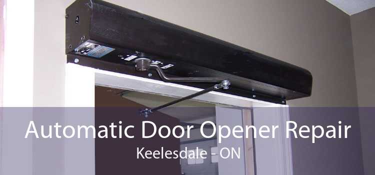 Automatic Door Opener Repair Keelesdale - ON