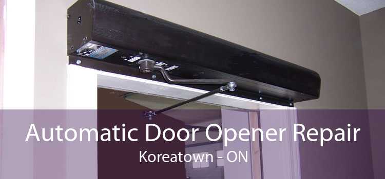 Automatic Door Opener Repair Koreatown - ON