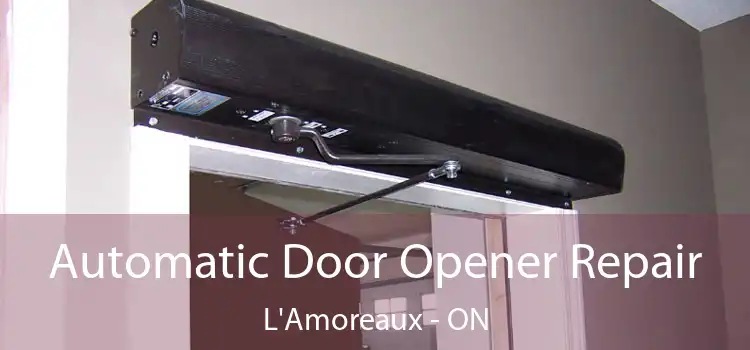  Automatic Door Opener Repair L'Amoreaux - ON