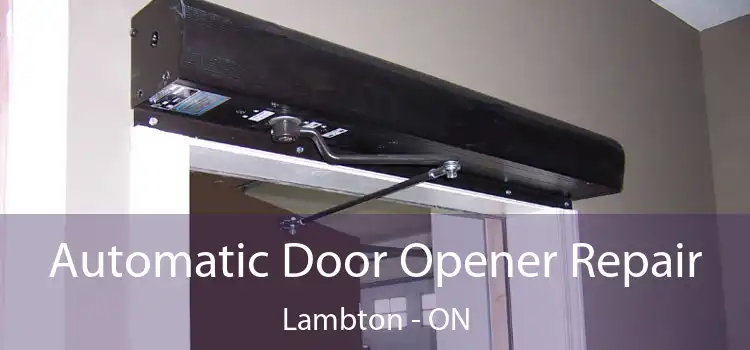  Automatic Door Opener Repair Lambton - ON