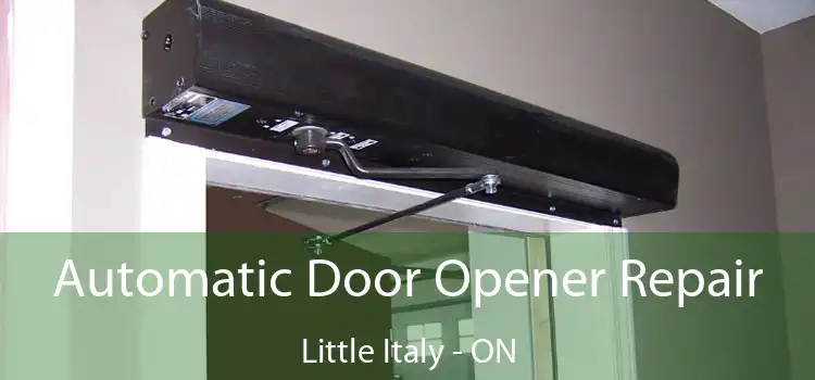  Automatic Door Opener Repair Little Italy - ON