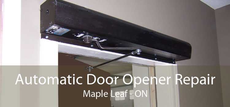 Automatic Door Opener Repair Maple Leaf - ON