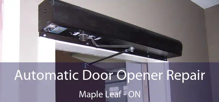  Automatic Door Opener Repair Maple Leaf - ON