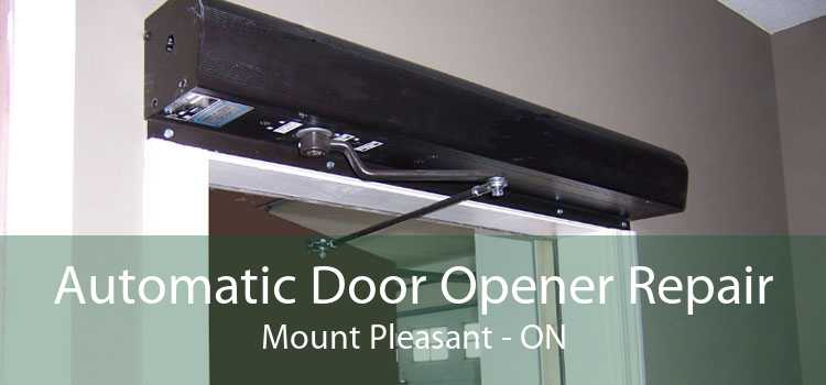 Automatic Door Opener Repair Mount Pleasant - ON