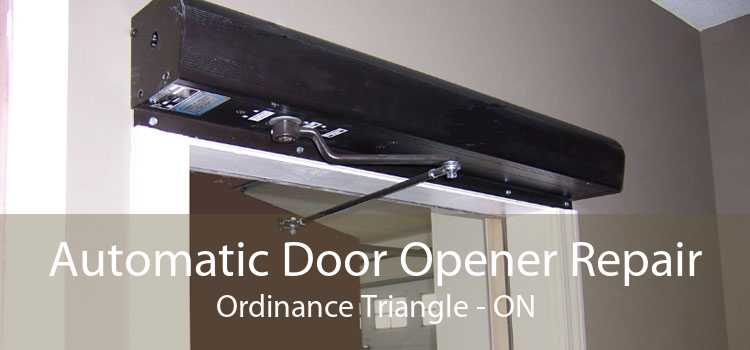 Automatic Door Opener Repair Ordinance Triangle - ON