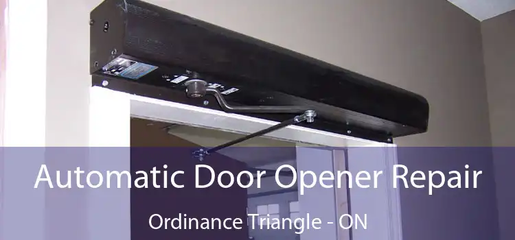  Automatic Door Opener Repair Ordinance Triangle - ON