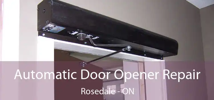  Automatic Door Opener Repair Rosedale - ON