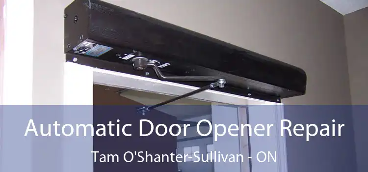  Automatic Door Opener Repair Tam O'Shanter-Sullivan - ON