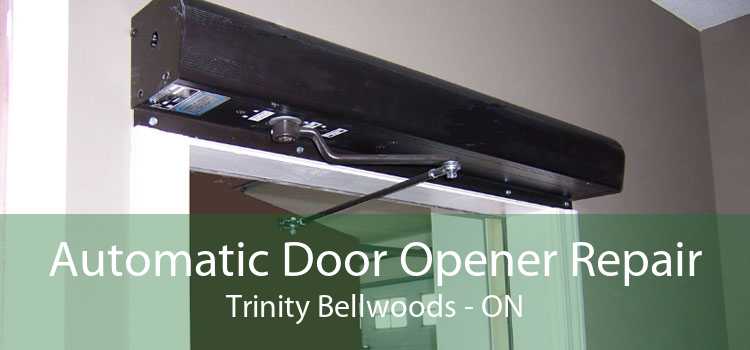 Automatic Door Opener Repair Trinity Bellwoods - ON