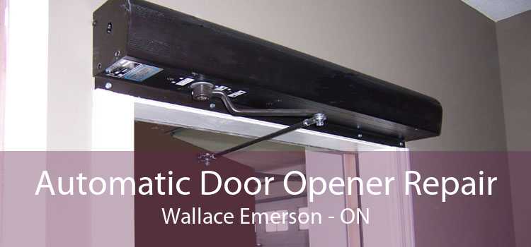 Automatic Door Opener Repair Wallace Emerson - ON