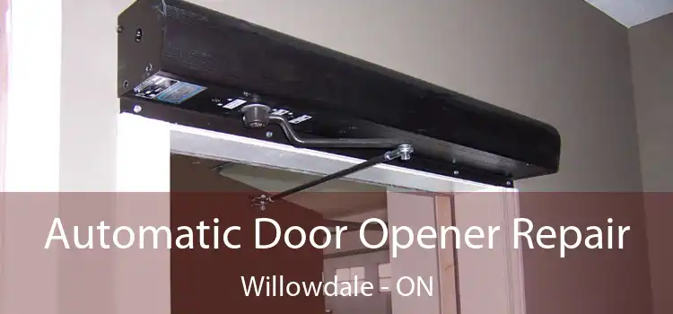  Automatic Door Opener Repair Willowdale - ON