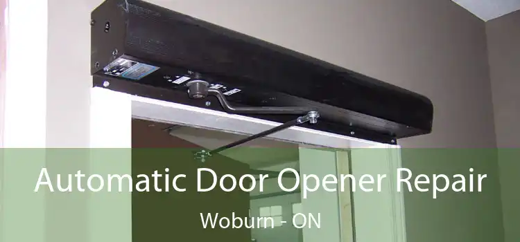  Automatic Door Opener Repair Woburn - ON