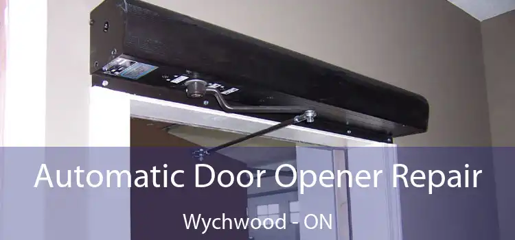  Automatic Door Opener Repair Wychwood - ON