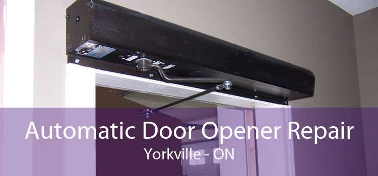 Automatic Door Opener Repair Yorkville - ON