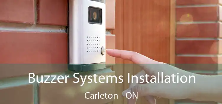  Buzzer Systems Installation Carleton - ON