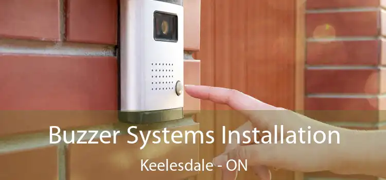  Buzzer Systems Installation Keelesdale - ON