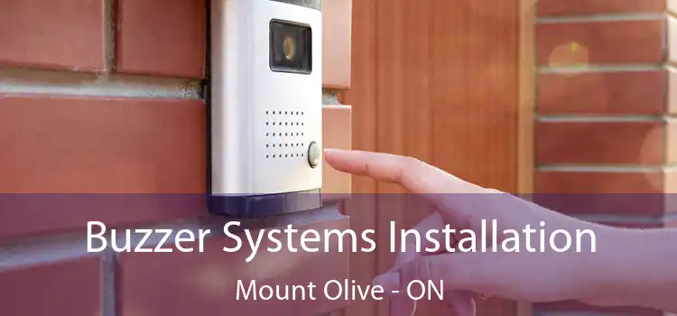  Buzzer Systems Installation Mount Olive - ON