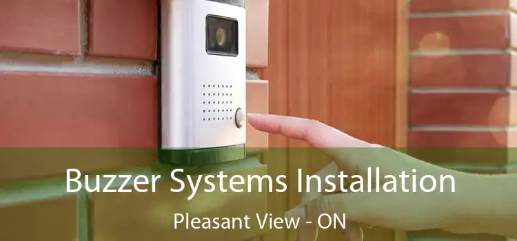  Buzzer Systems Installation Pleasant View - ON