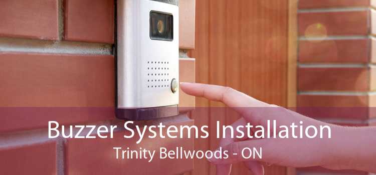 Buzzer Systems Installation Trinity Bellwoods - ON