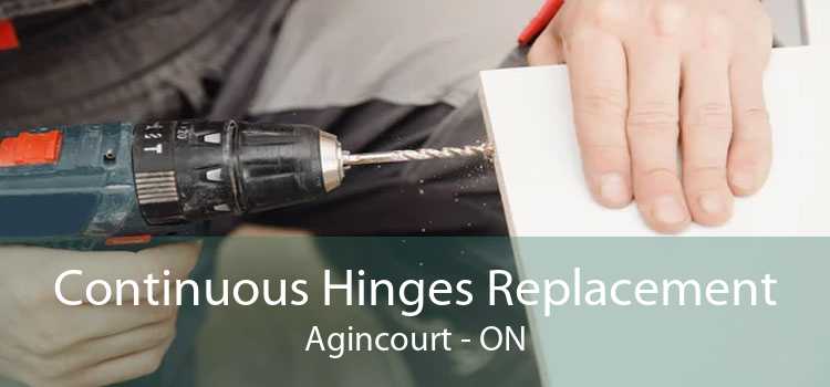 Continuous Hinges Replacement Agincourt - ON