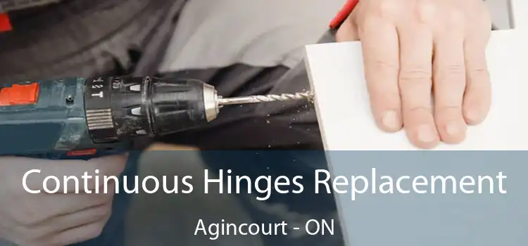  Continuous Hinges Replacement Agincourt - ON