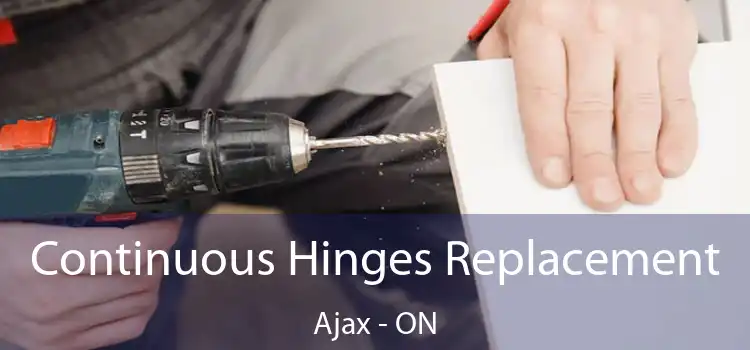  Continuous Hinges Replacement Ajax - ON